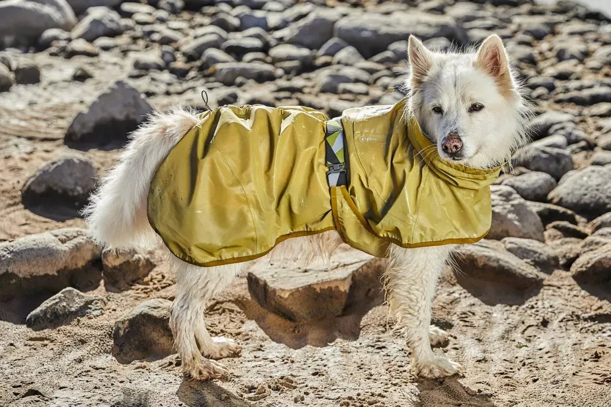Рефлекторний дощовик для собак Hurtta Mudventure Reflective Coat Жовтий