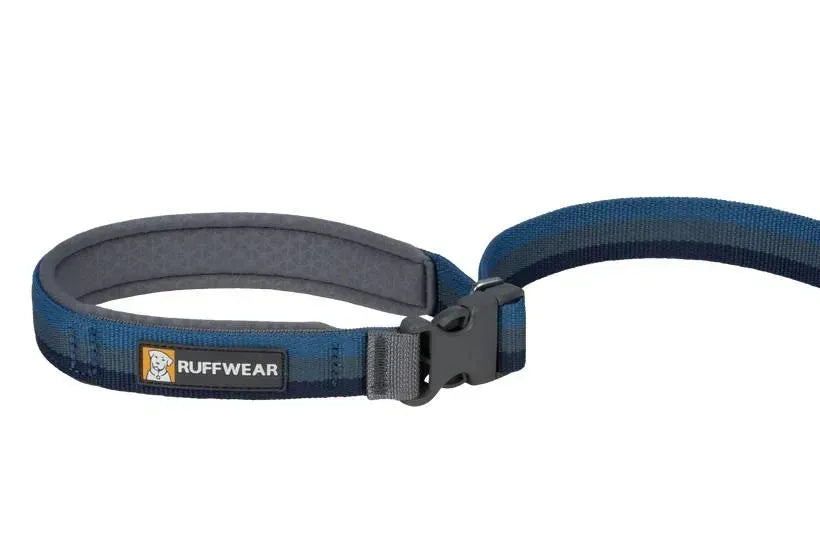 Повідець-перестібка для собак з амортизацією Ruffwear Roamer™ синій