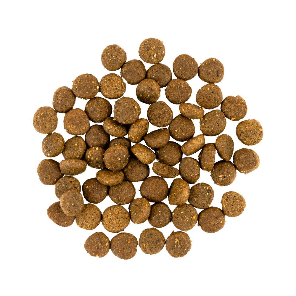 Сухий корм Savory Puppy для цуценят усіх порід, зі свіжою індичкою і куркою
