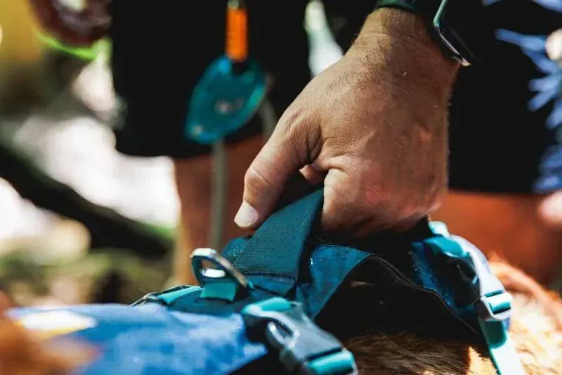 Легка шлейка для собак Ruffwear Flagline™ сірий