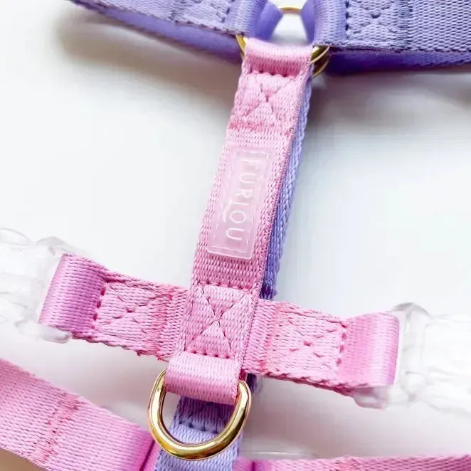 Шлея для собак FURLOU Lavender and Rose