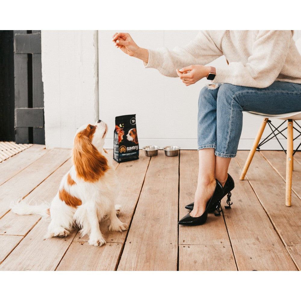 Сухий корм Savory Puppy для цуценят усіх порід, зі свіжою індичкою і куркою