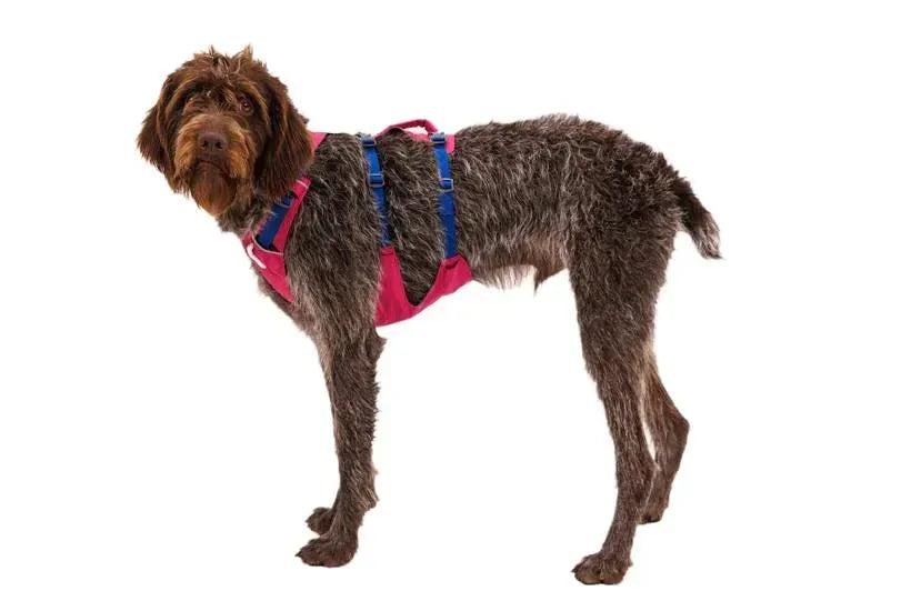 Легка шлейка для собак Ruffwear Flagline™ малиновий