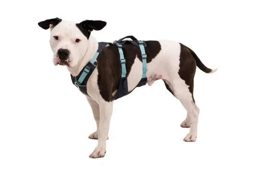 Легка шлейка для собак Ruffwear Flagline™ сірий