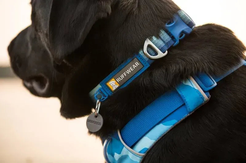Повсякденний нашийник для собак Ruffwear Front Range™ блакитно-синій