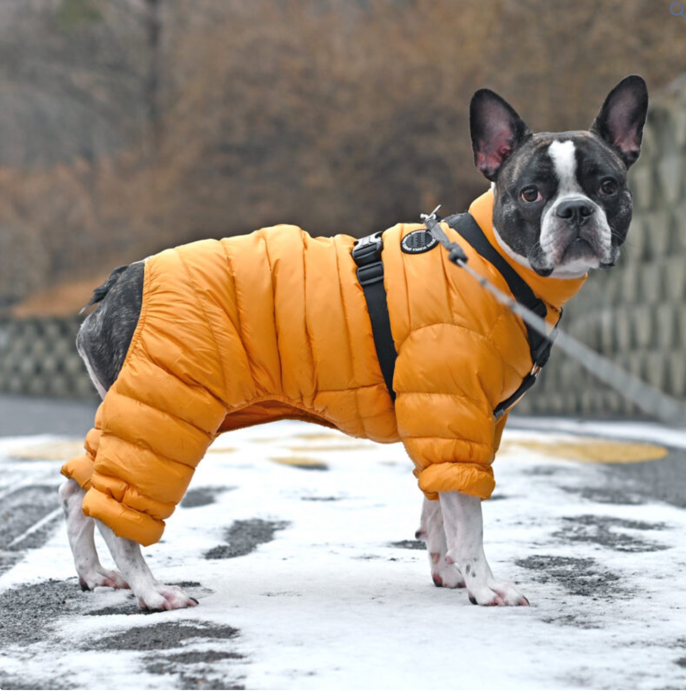 Комбінезон для собак Puppia Ultralight Jumpsuit APAPD-JM1672 помаранчевий