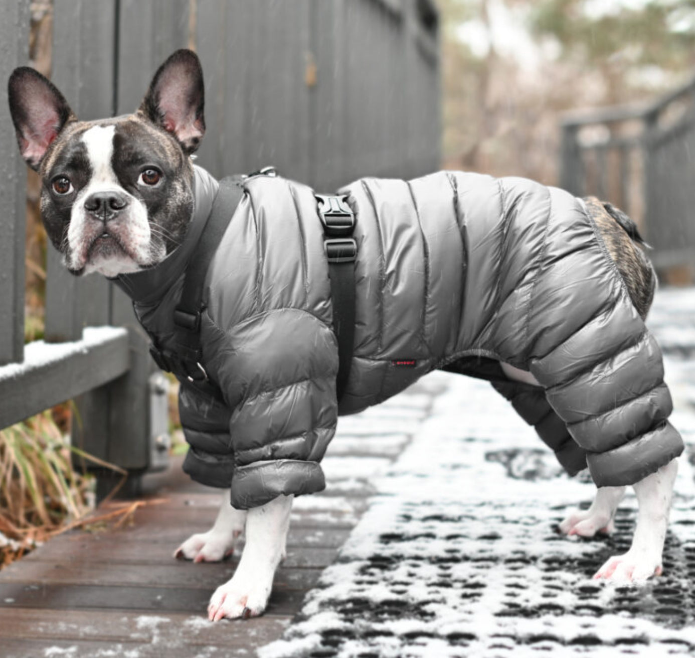 Комбінезон для собак Puppia Ultralight Jumpsuit APAPD-JM1672 Сірий
