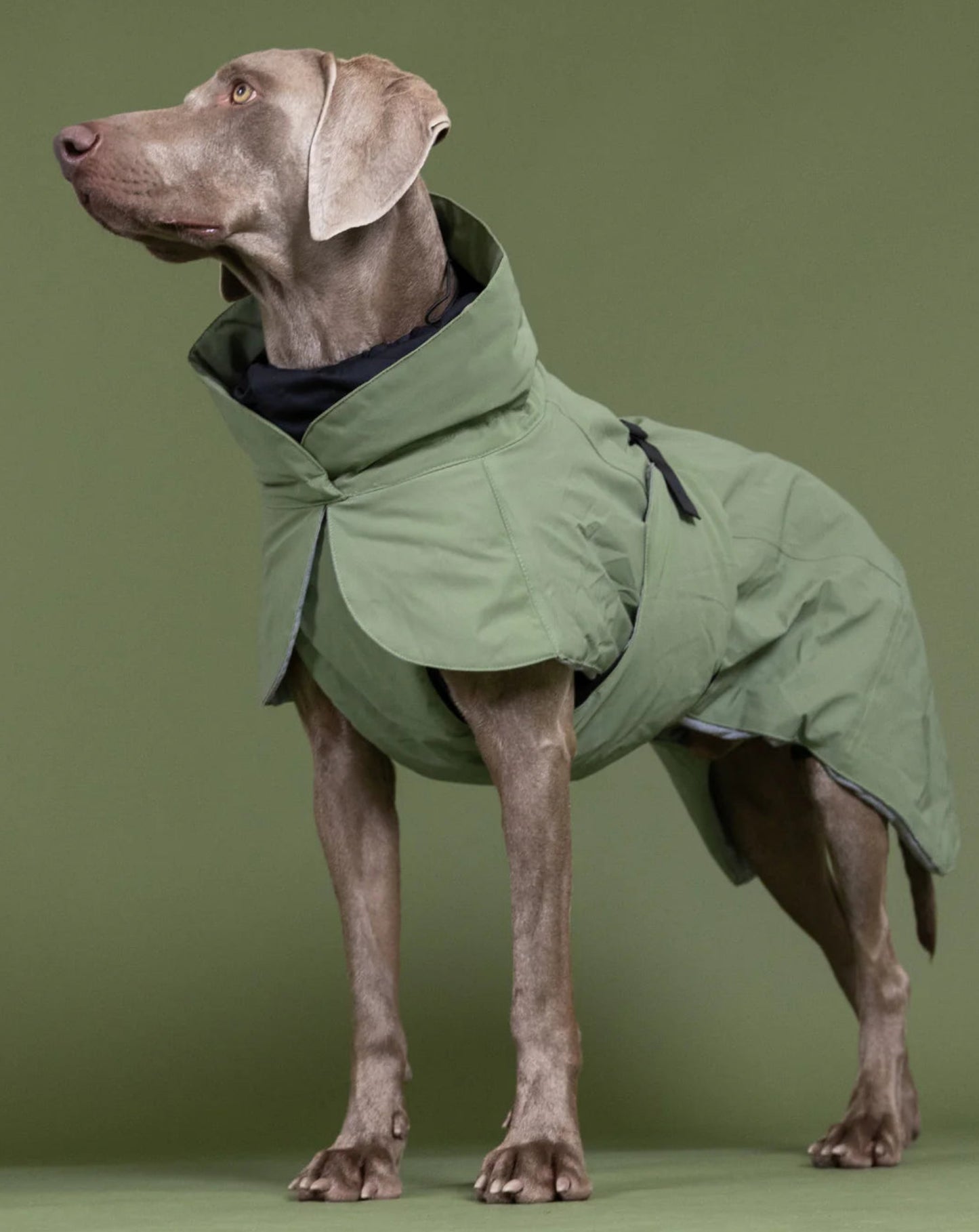 Тепла попона для собак Winter Jacket Green Paikka
