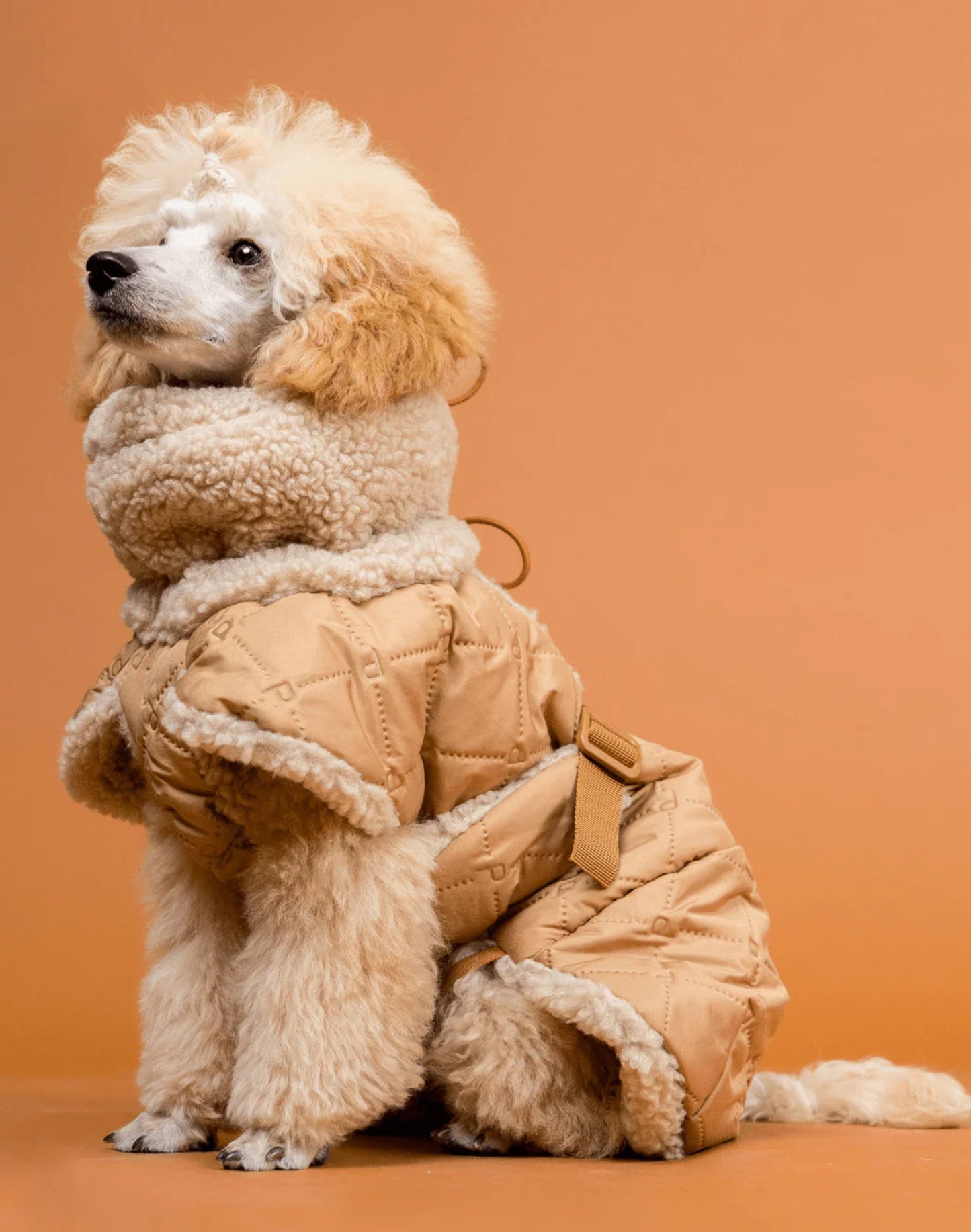 Тепла попона для собак Winter Sherpa Jacket Camel Paikka