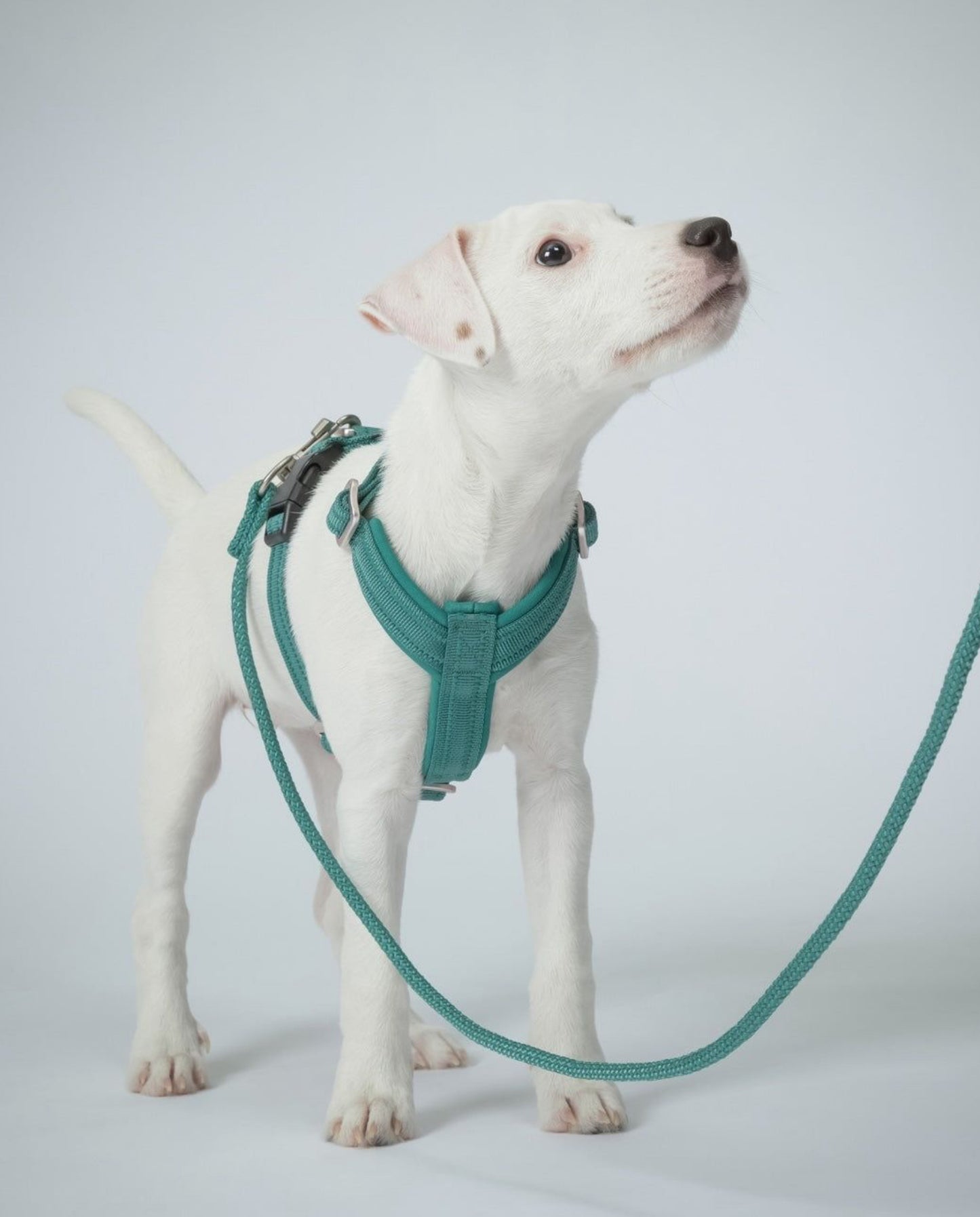 Повідець для собак Visibility Rope Leash Emerald Paikka