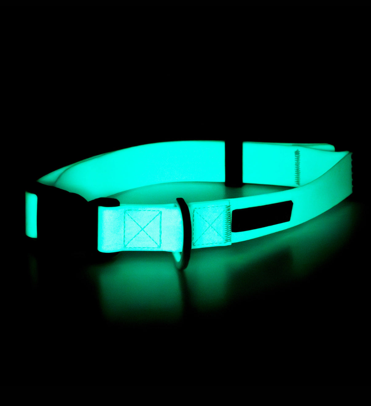 Нашийник для собак Glow Collar Aqua Paikka