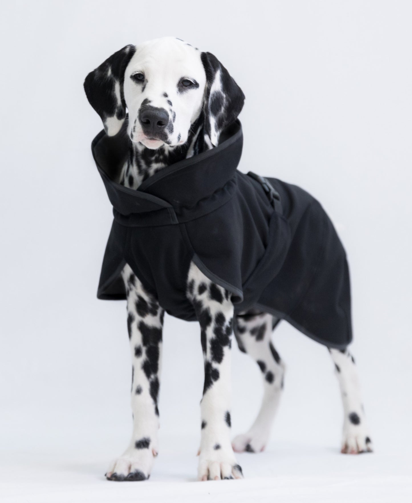 Попона для собак осінь/зима Softshell Black Paikka