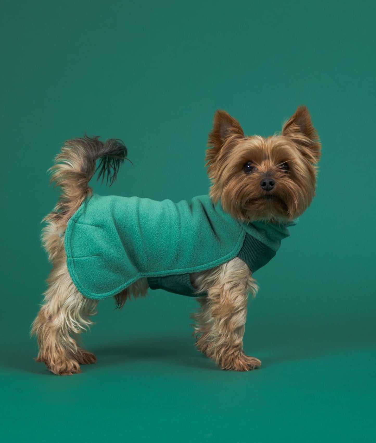 Кофта для собак Seawool Green Paikka