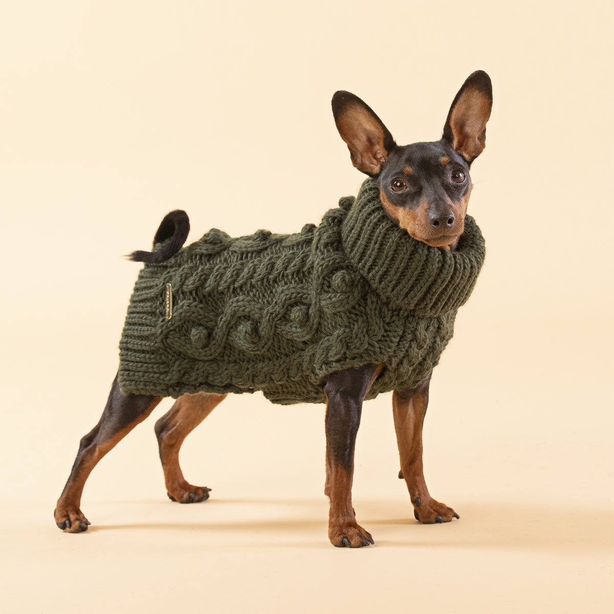 Светр для собак Handmade Knit Green Paikka