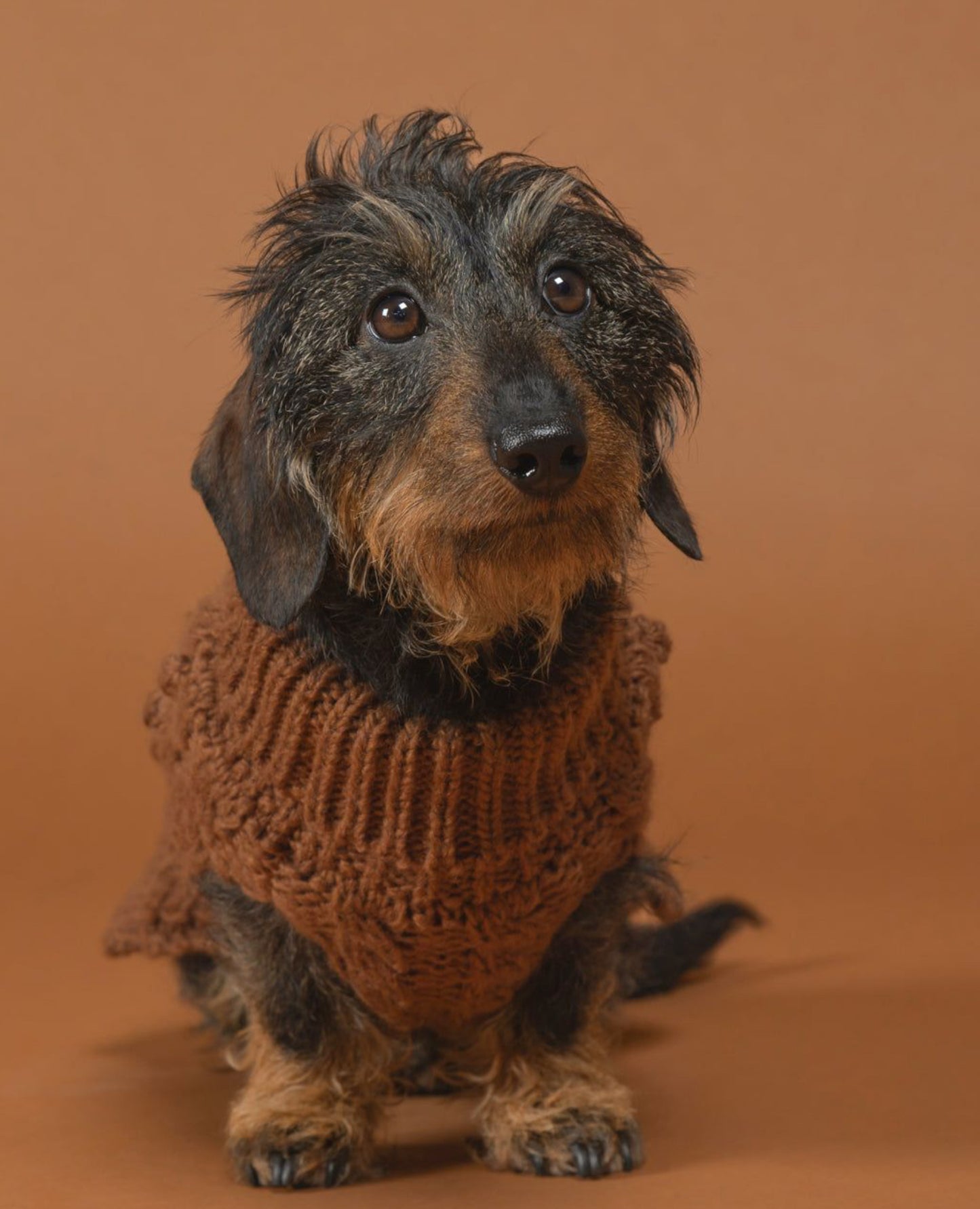 Светр для собак Handmade Knit Camel Paikka