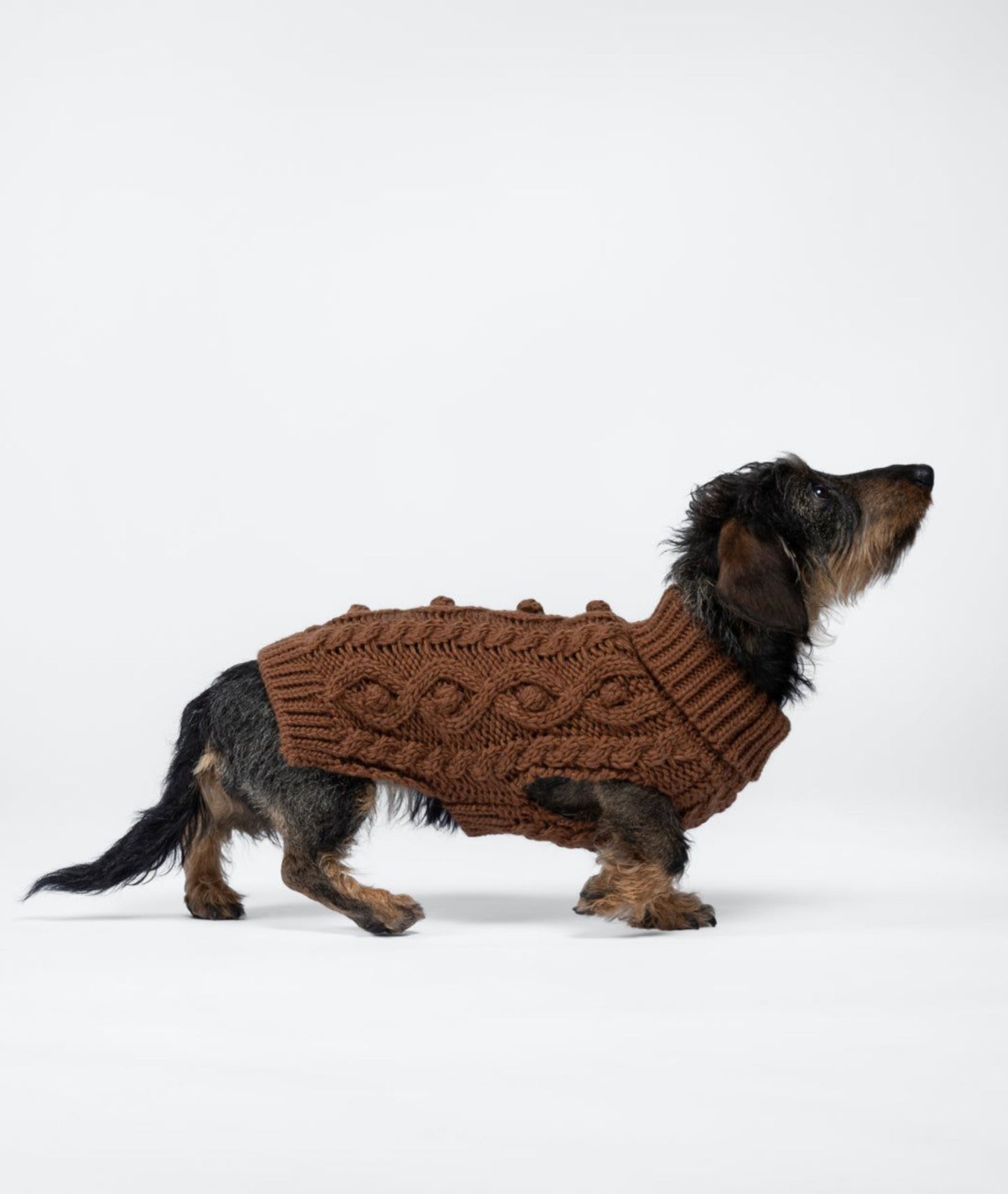 Светр для собак Handmade Knit Camel Paikka