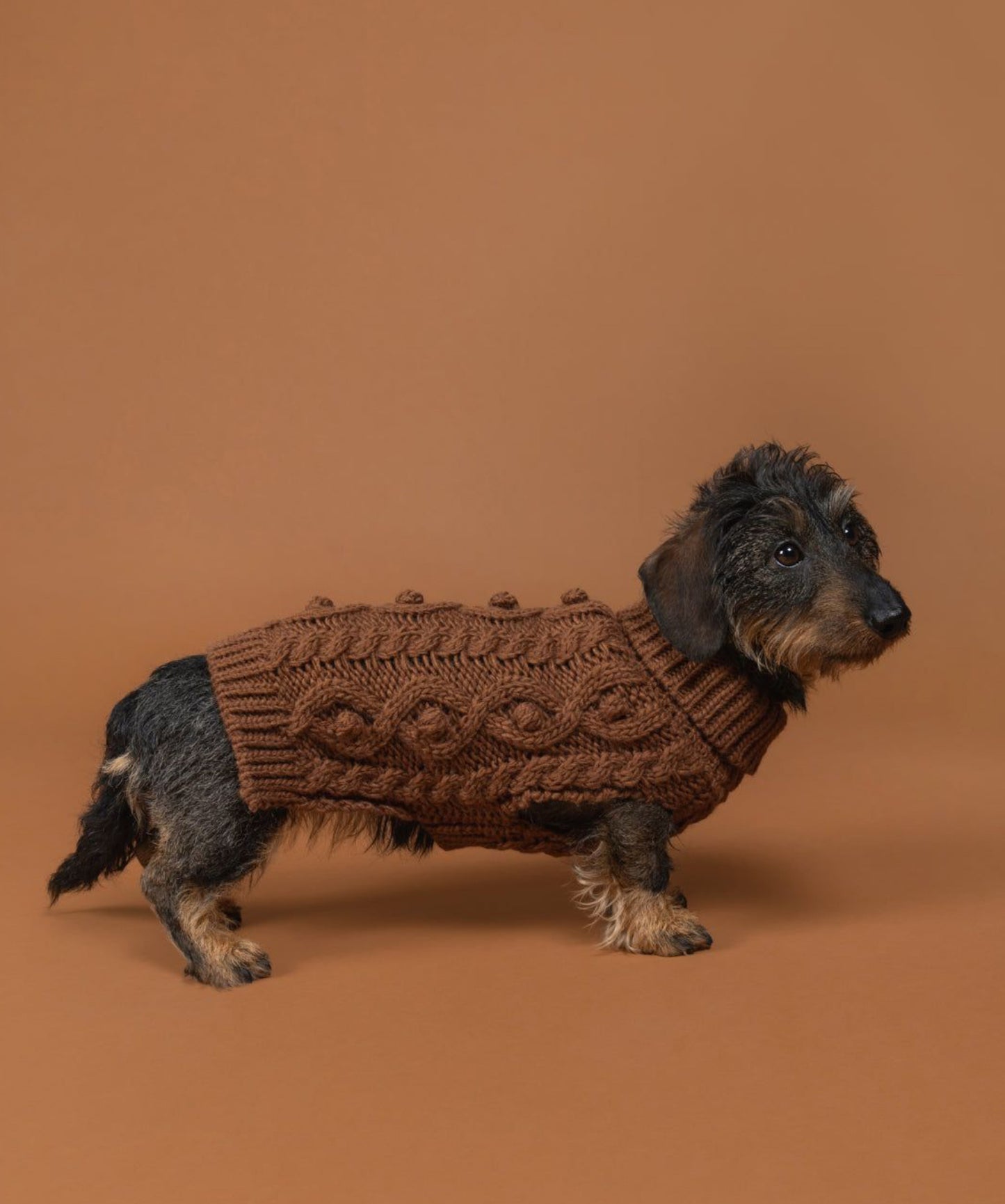 Светр для собак Handmade Knit Camel Paikka