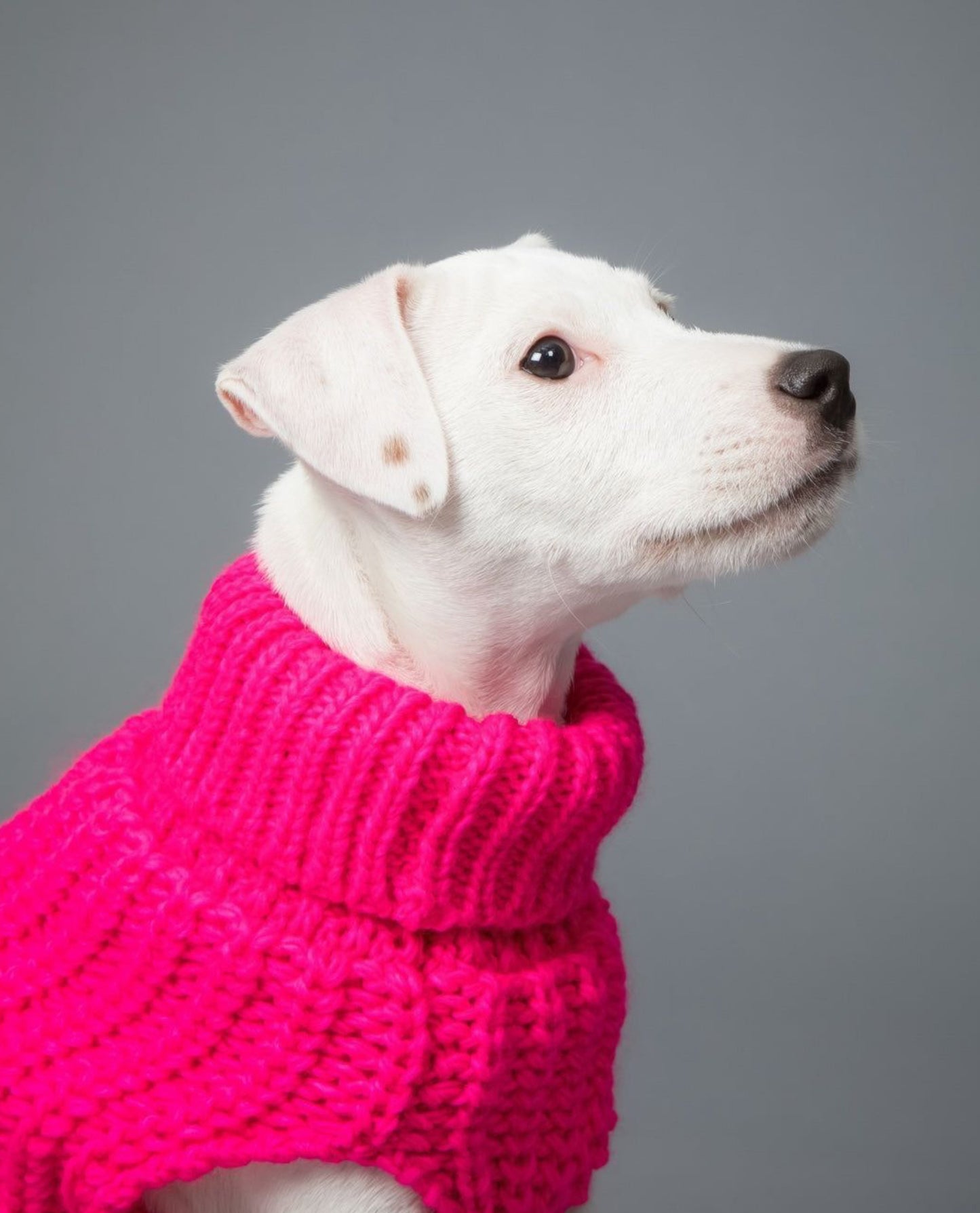 Светр для собак Sweater Pink Paikka