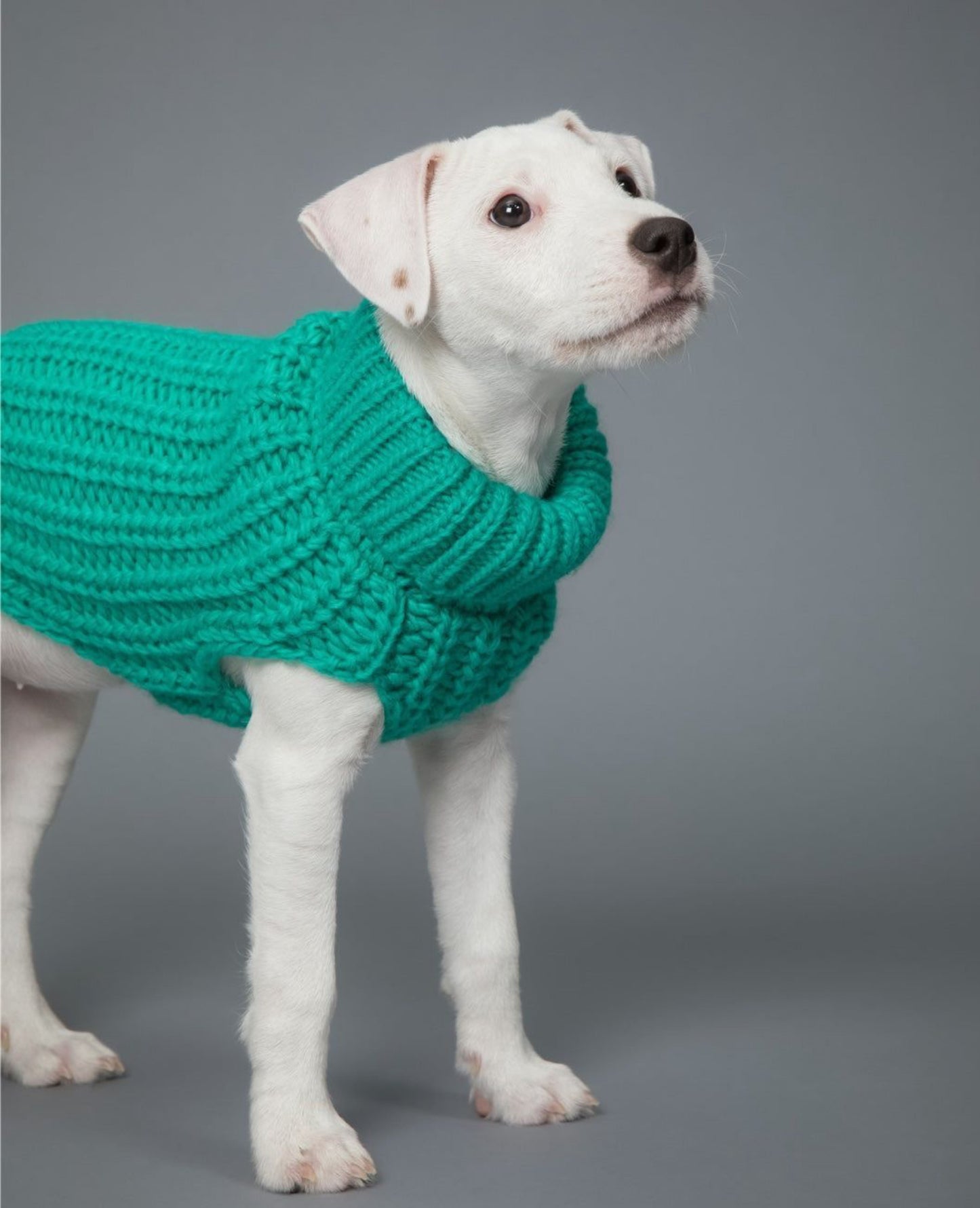 Светр для собак Sweater Green Paikka