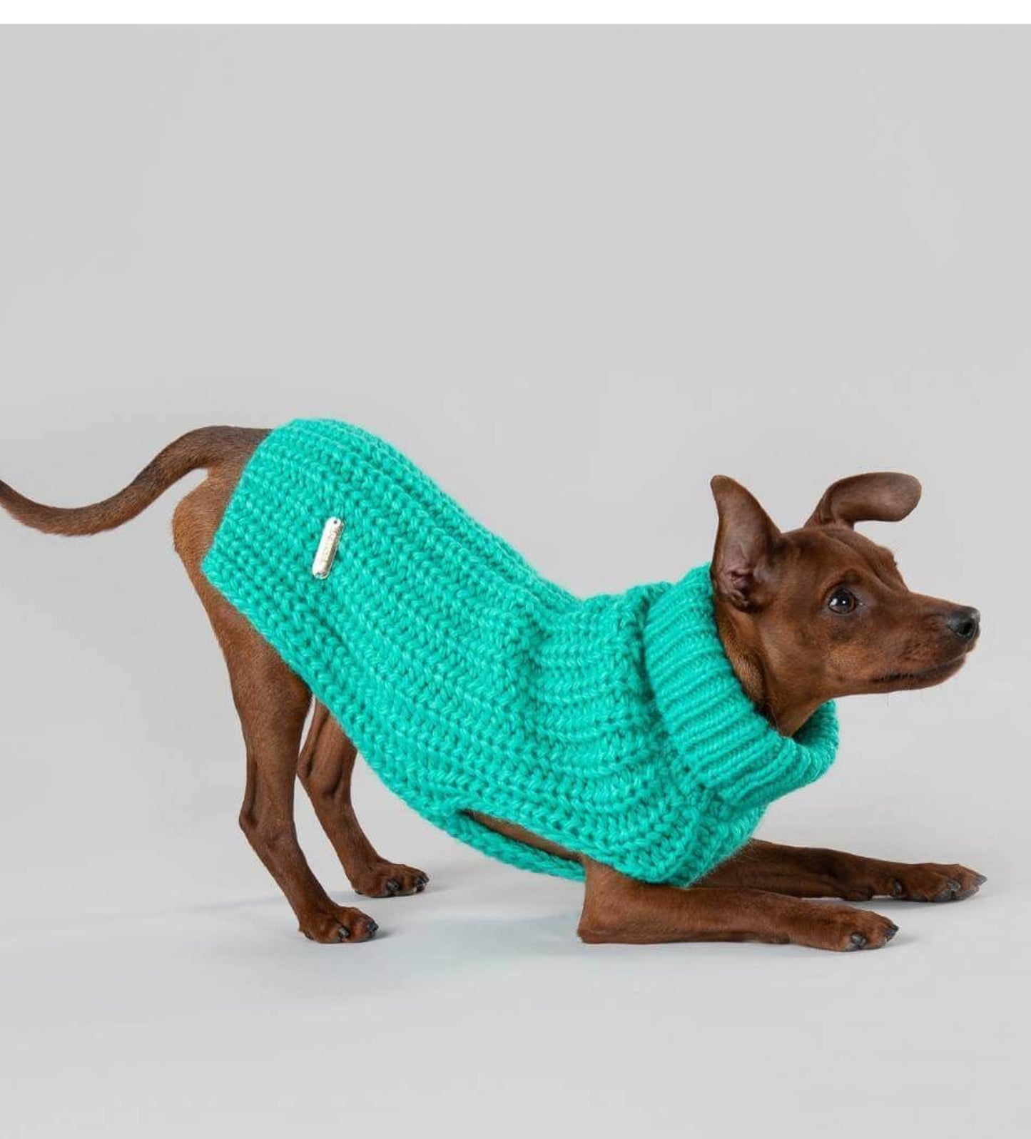 Светр для собак Sweater Green Paikka