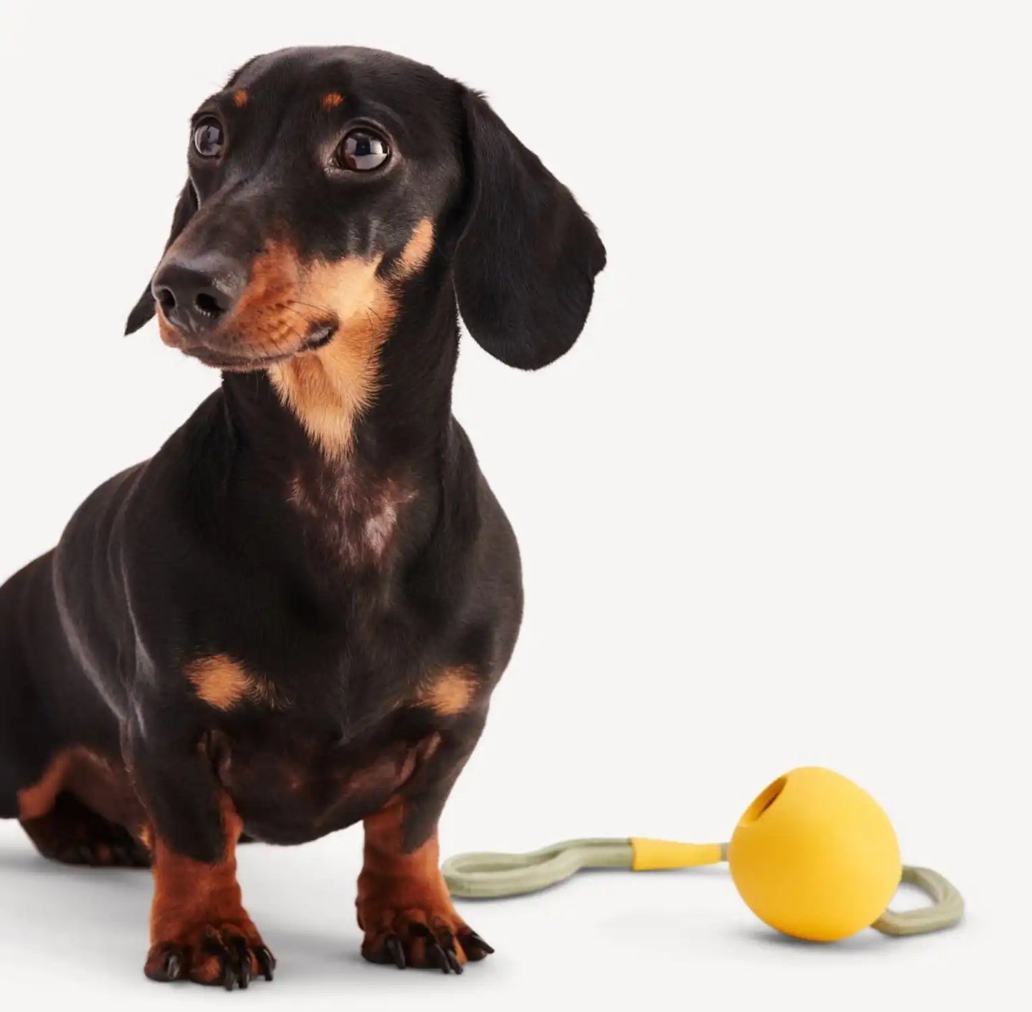 Іграшка м'ячик на мотузці для собак Beco Pets Slinger Ball Жовтий