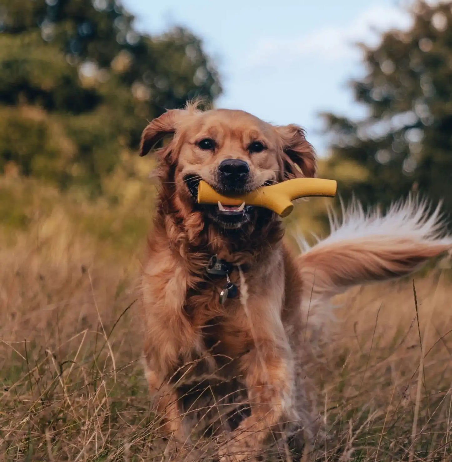 Іграшка з отвором для ласощів для собак Beco Pets Super Stick Помаранчевий