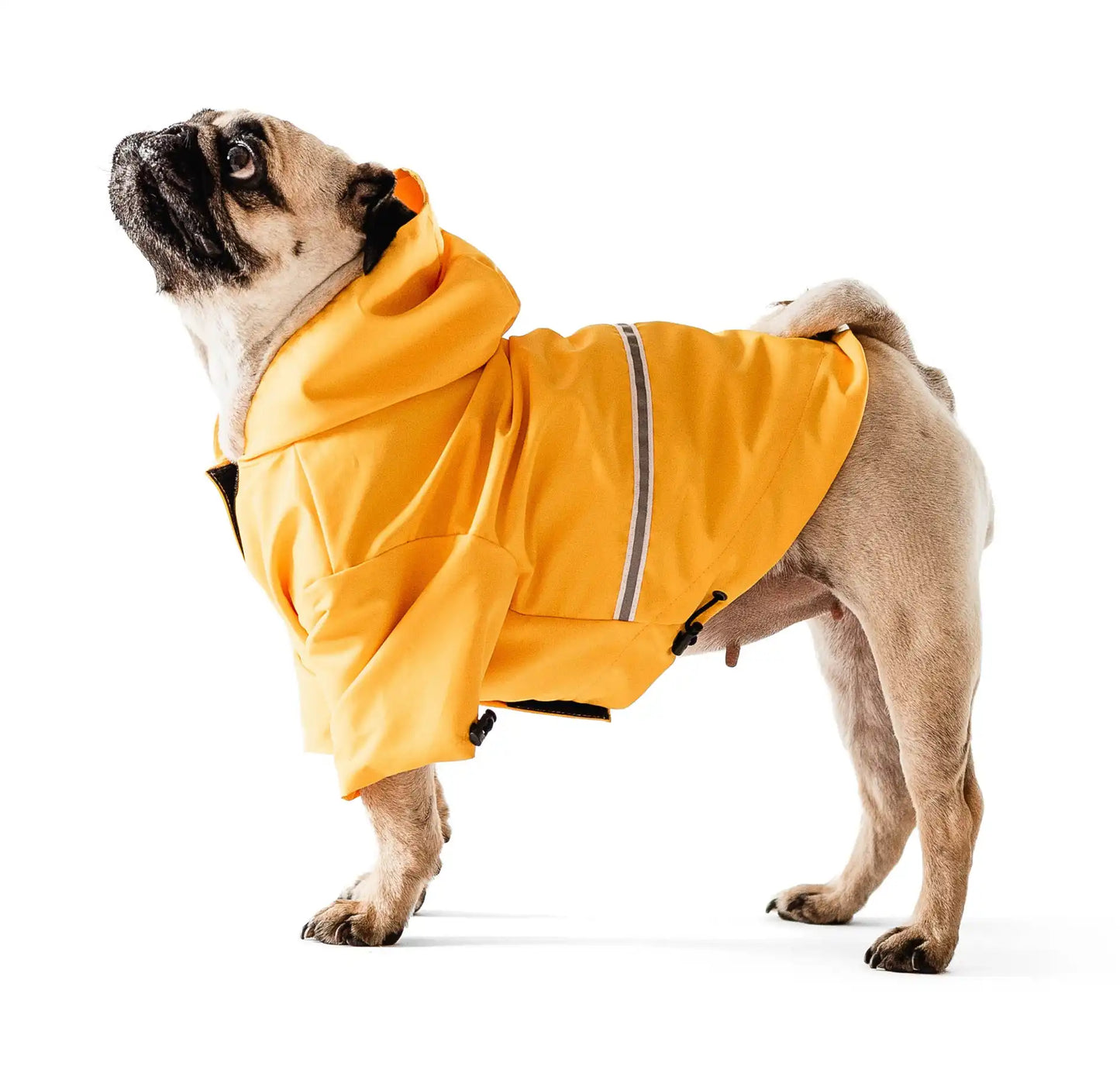 Дощовик Moss Yellow