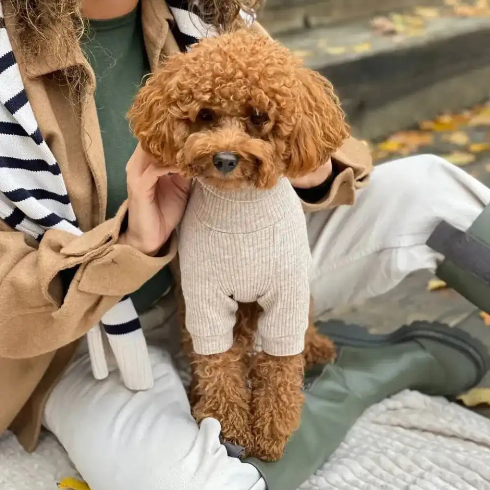 Гольф класичний з ангори для собак бежевий ChouChou