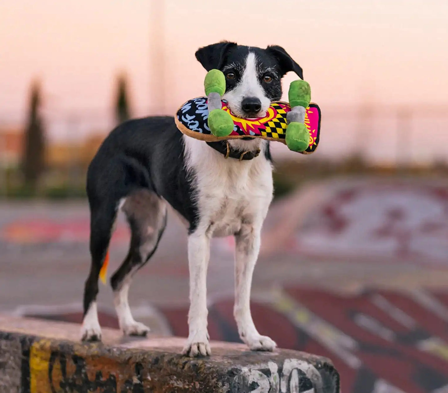 Іграшка для собак 90s Classics - Skateboard Pet Play