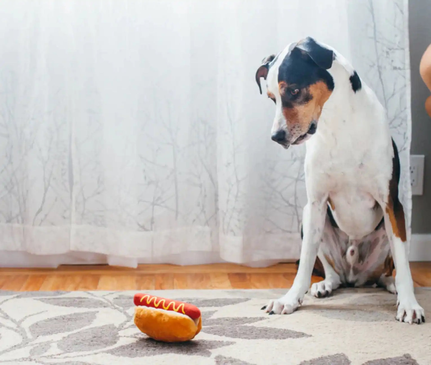 Іграшка для собак American Classic - Hot Dog Pet Play