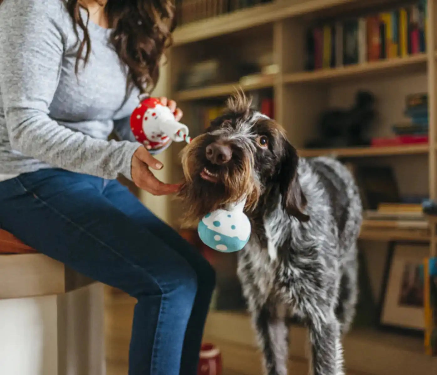 Іграшка для собак BackToSchool Collection - Beakers Pet Play
