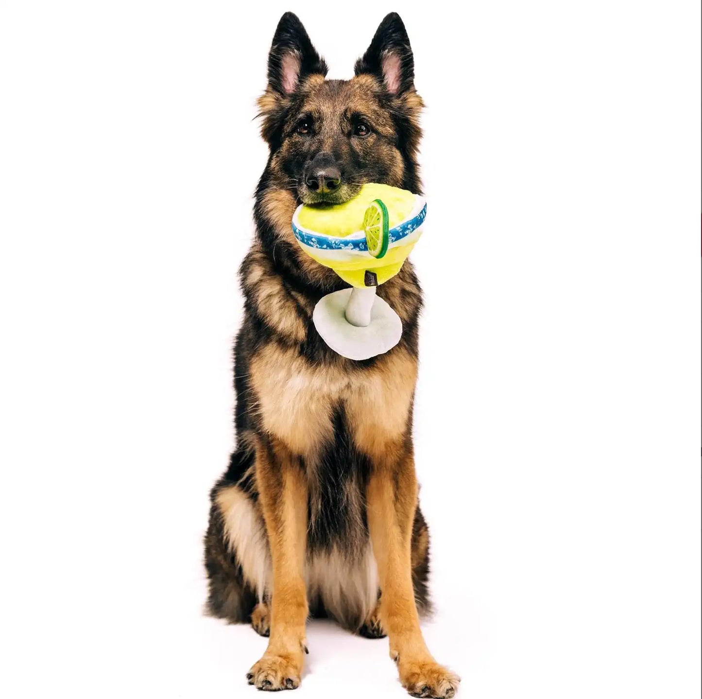 Іграшка для собак Barktender - Margarita Pet Play