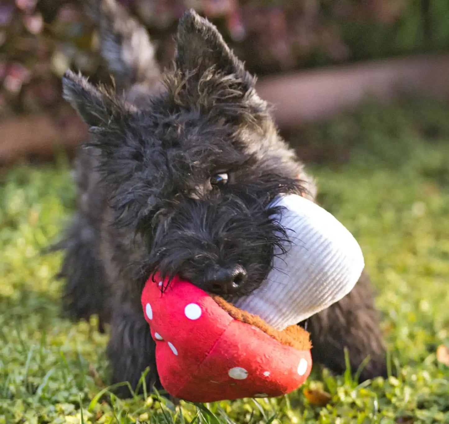 Іграшка для собак Blooming Buddies Collection - Mutt Mushroom Pet Play