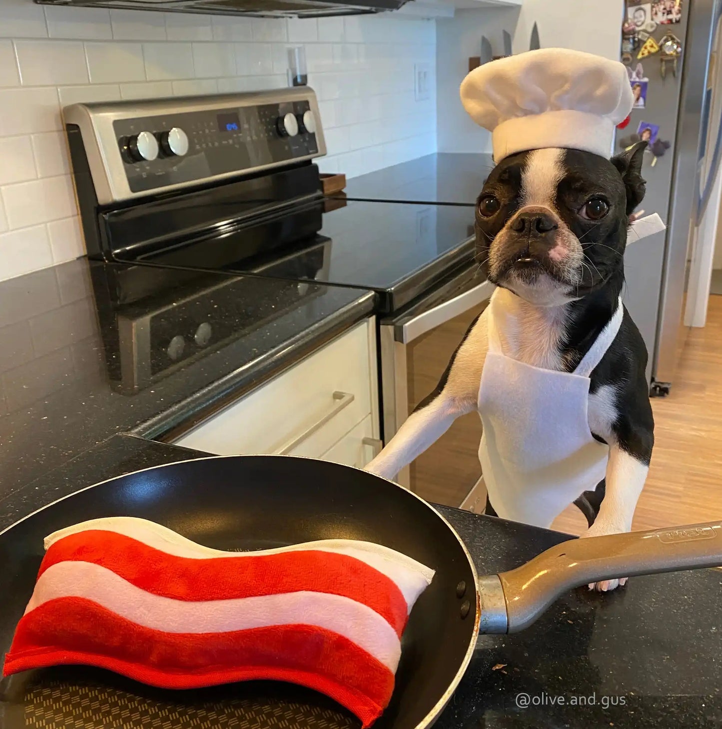 Іграшка для собак Clive & Bacon x PLAY - Bacon