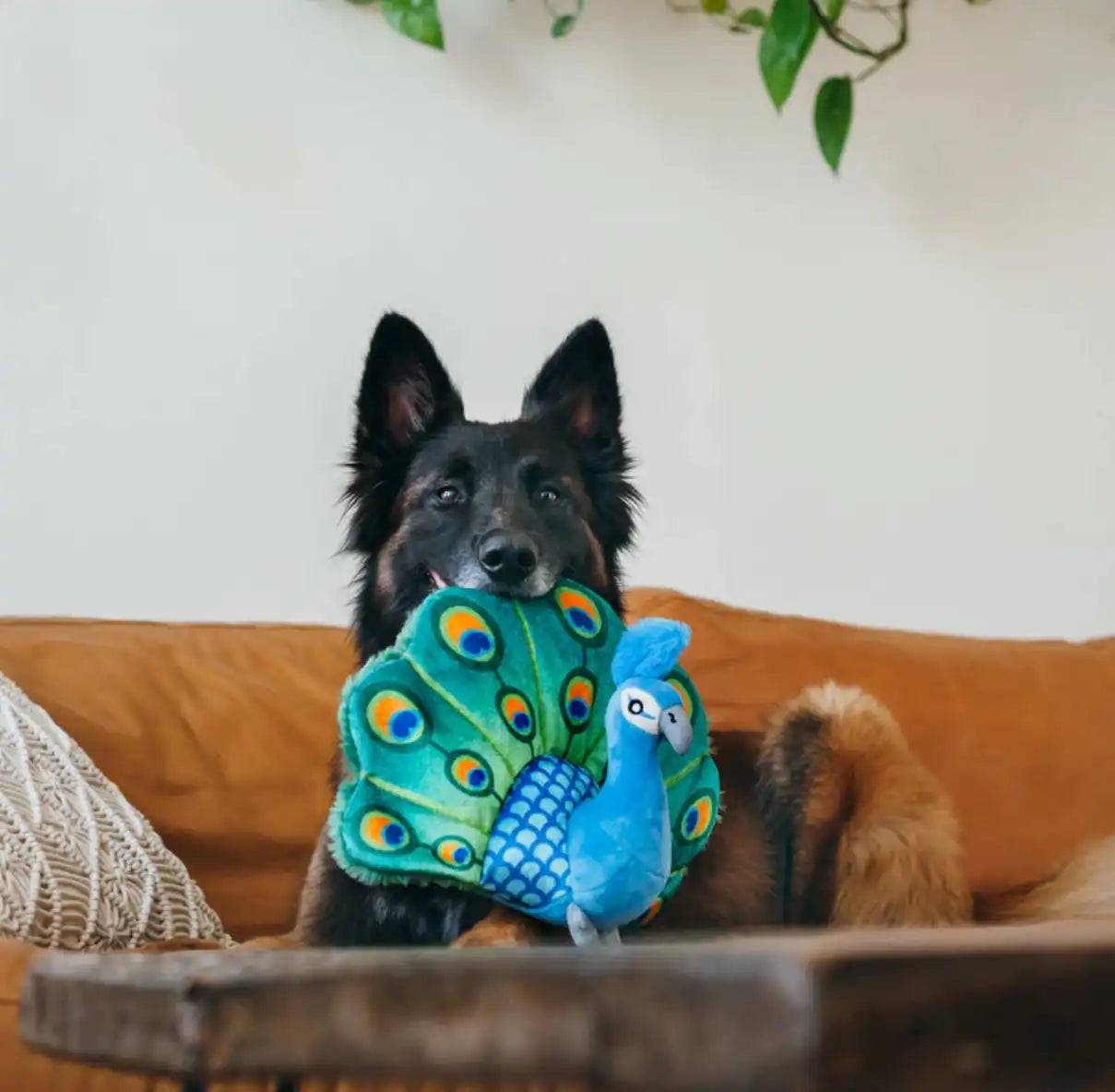 Іграшка для собак Fetching Flock Collection - Peacock Pet Play