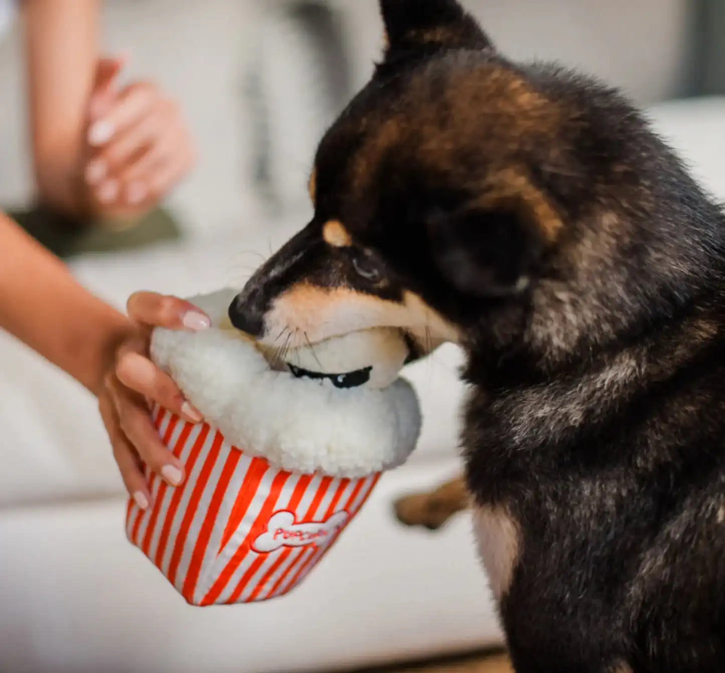 Іграшка для собак Hollywoof Cinema Collection - Poppin' Pupcorn Pet Play