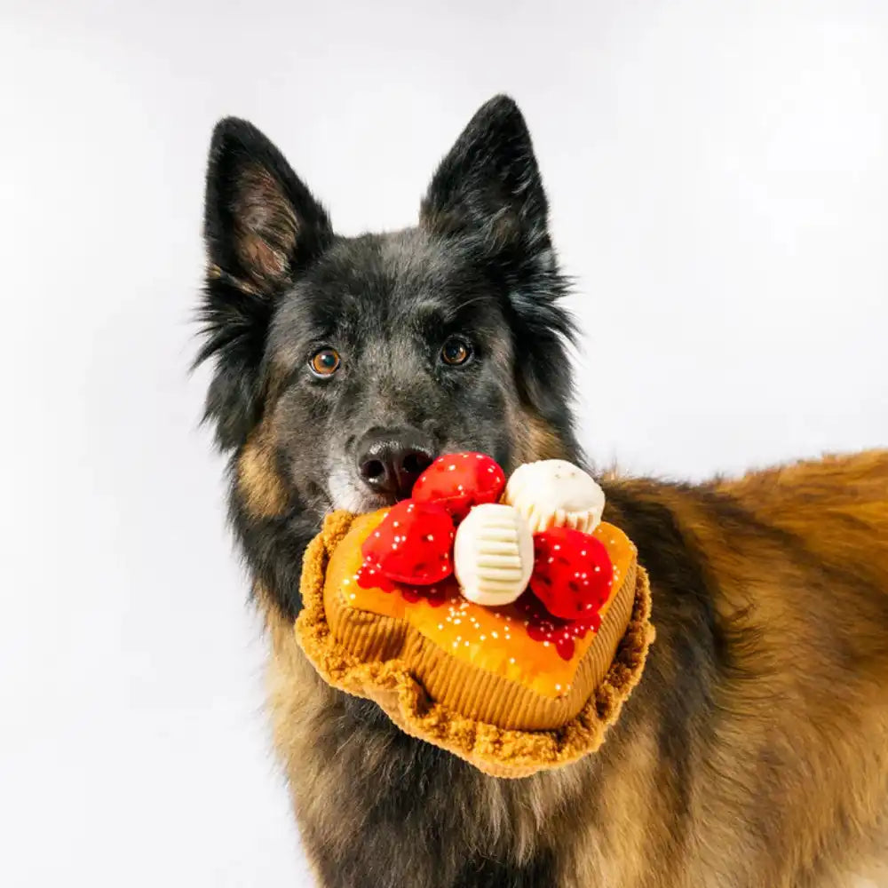 Іграшка для собак IHOP - French Toast Stack Pet Play