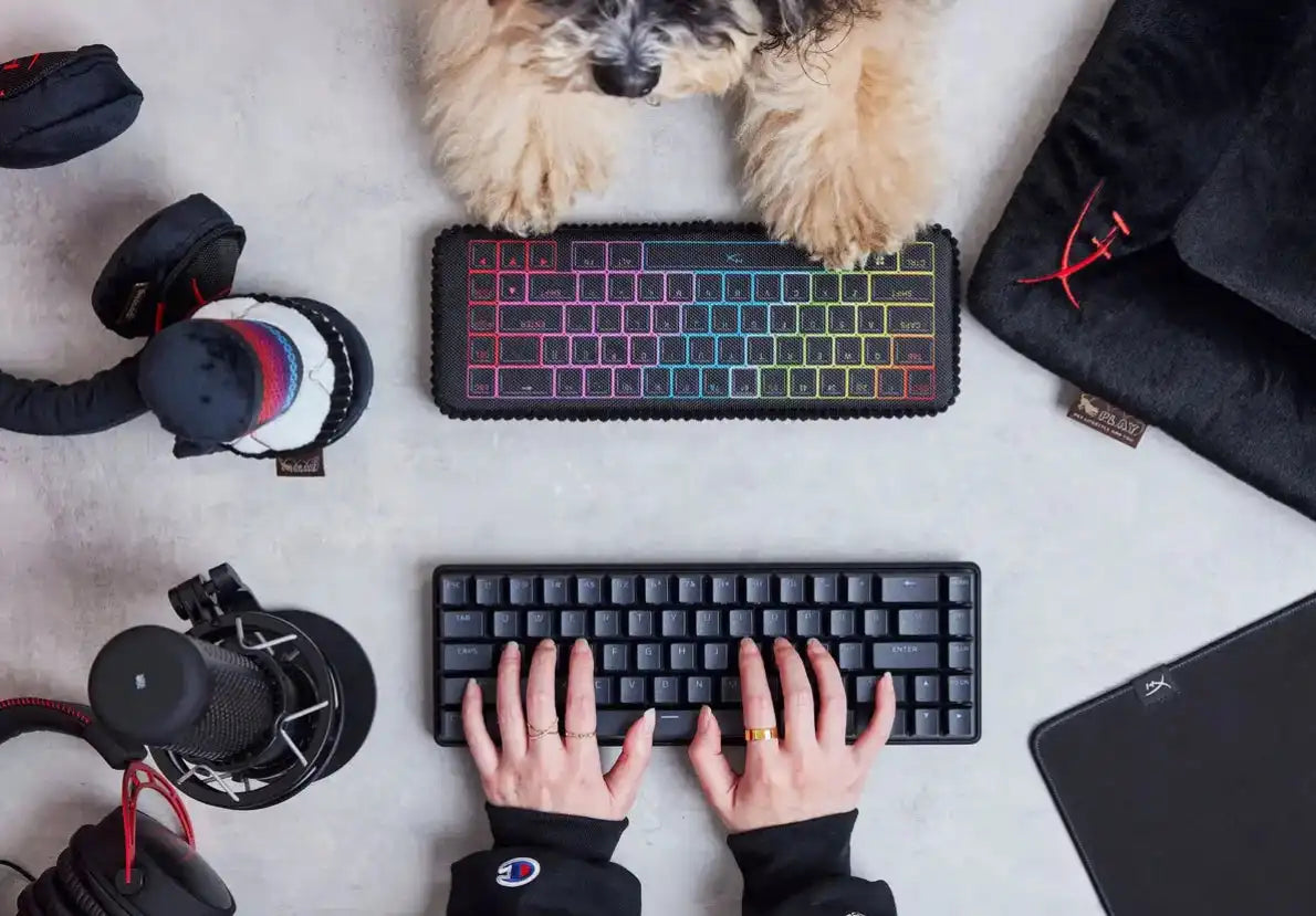 Іграшка для собак P.L.A. Y. x HyperX - Keyboard Pet Play