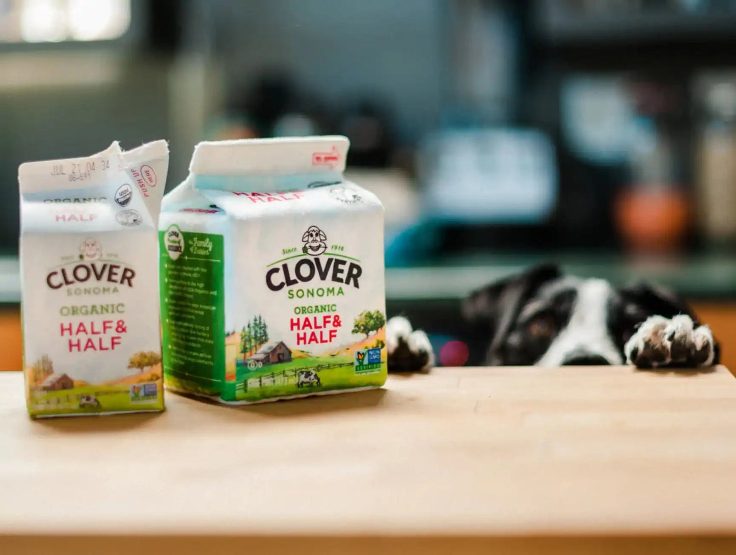 Іграшка для собак PLAY Clover Collab MilkCarton