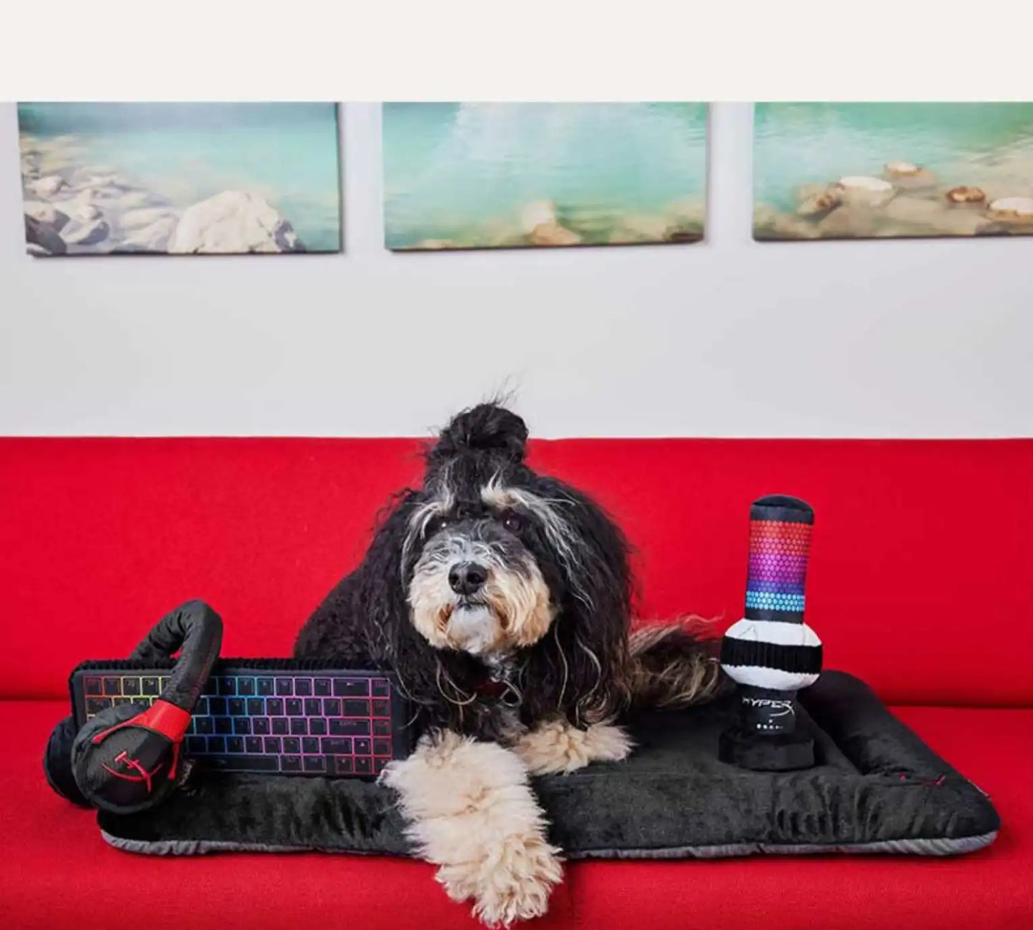 Іграшка для собак P.L.A.Y. x HyperX - Quadcast Pet Play