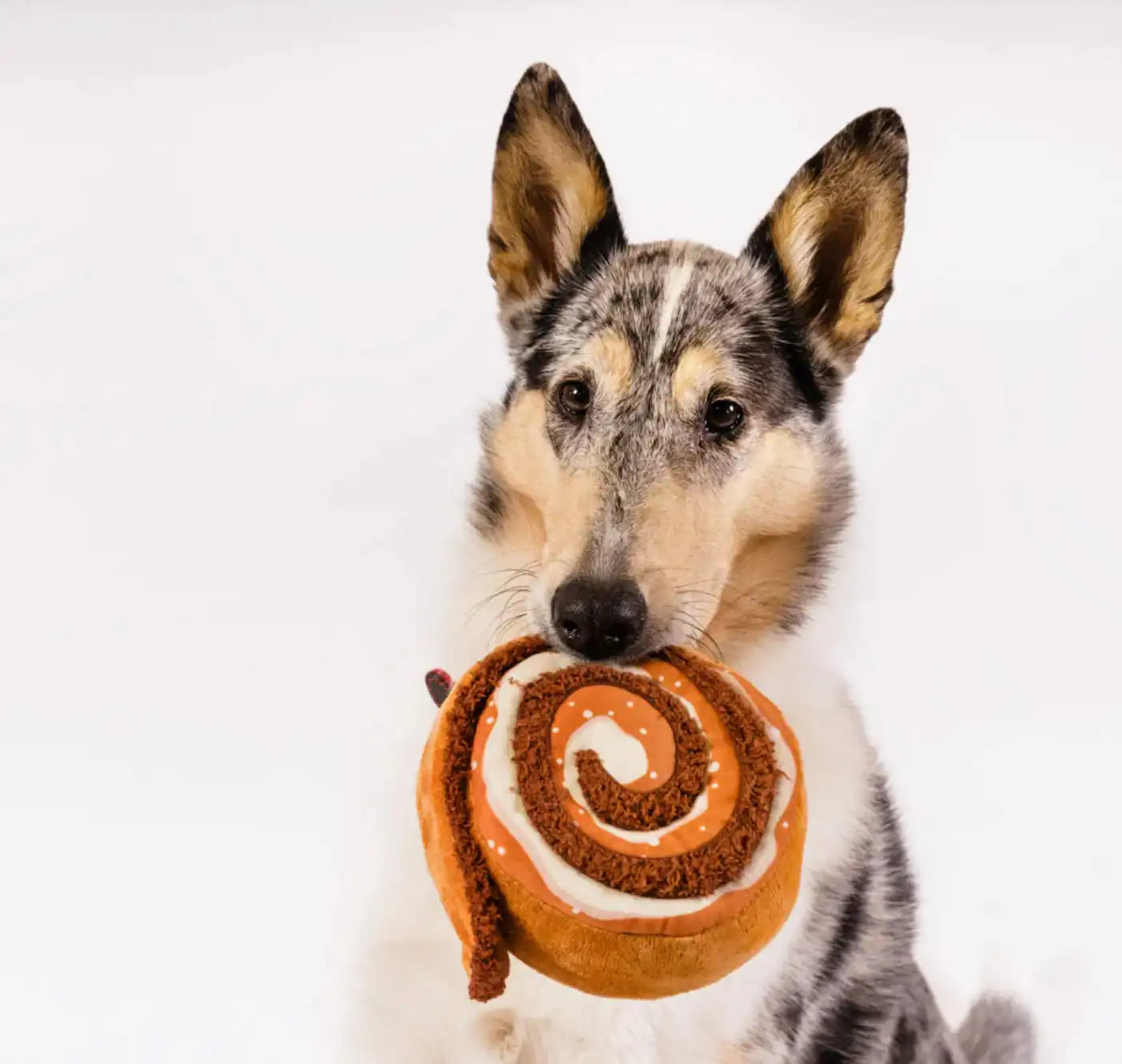 Іграшка для собак Рир Cup Cafe - Cinnabone Pet Play