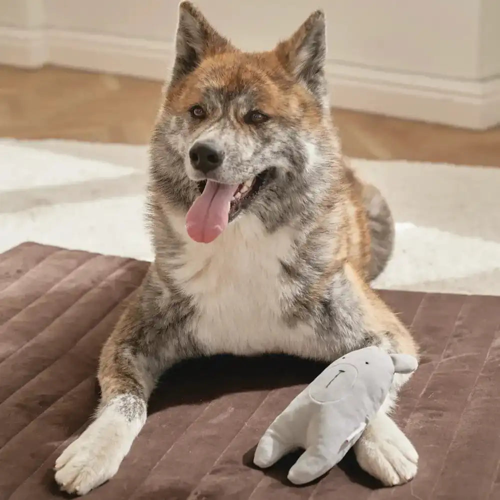 Іграшка м'яка для собак Ведмедик "Шу" з пискавкою