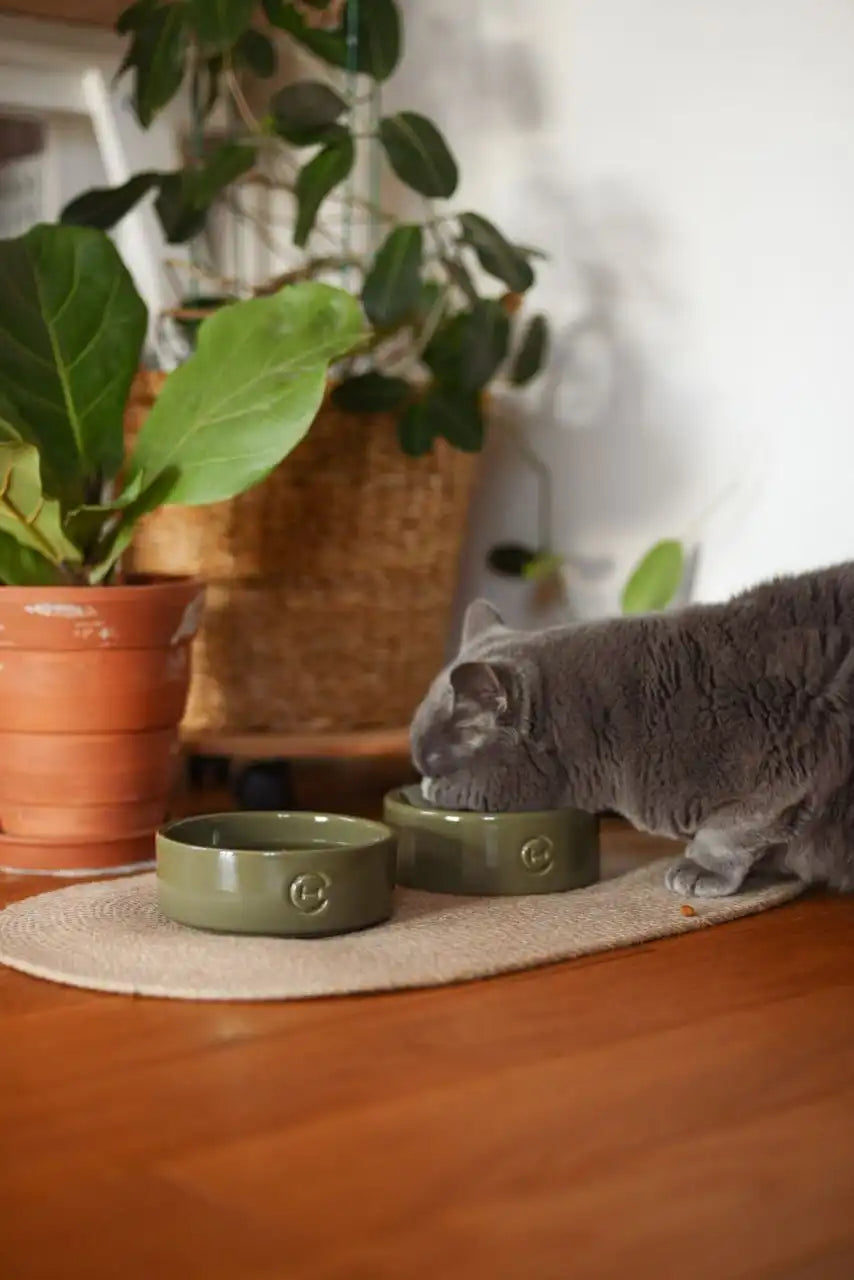 Керамічна миска із сферичним дном Bowl Olive