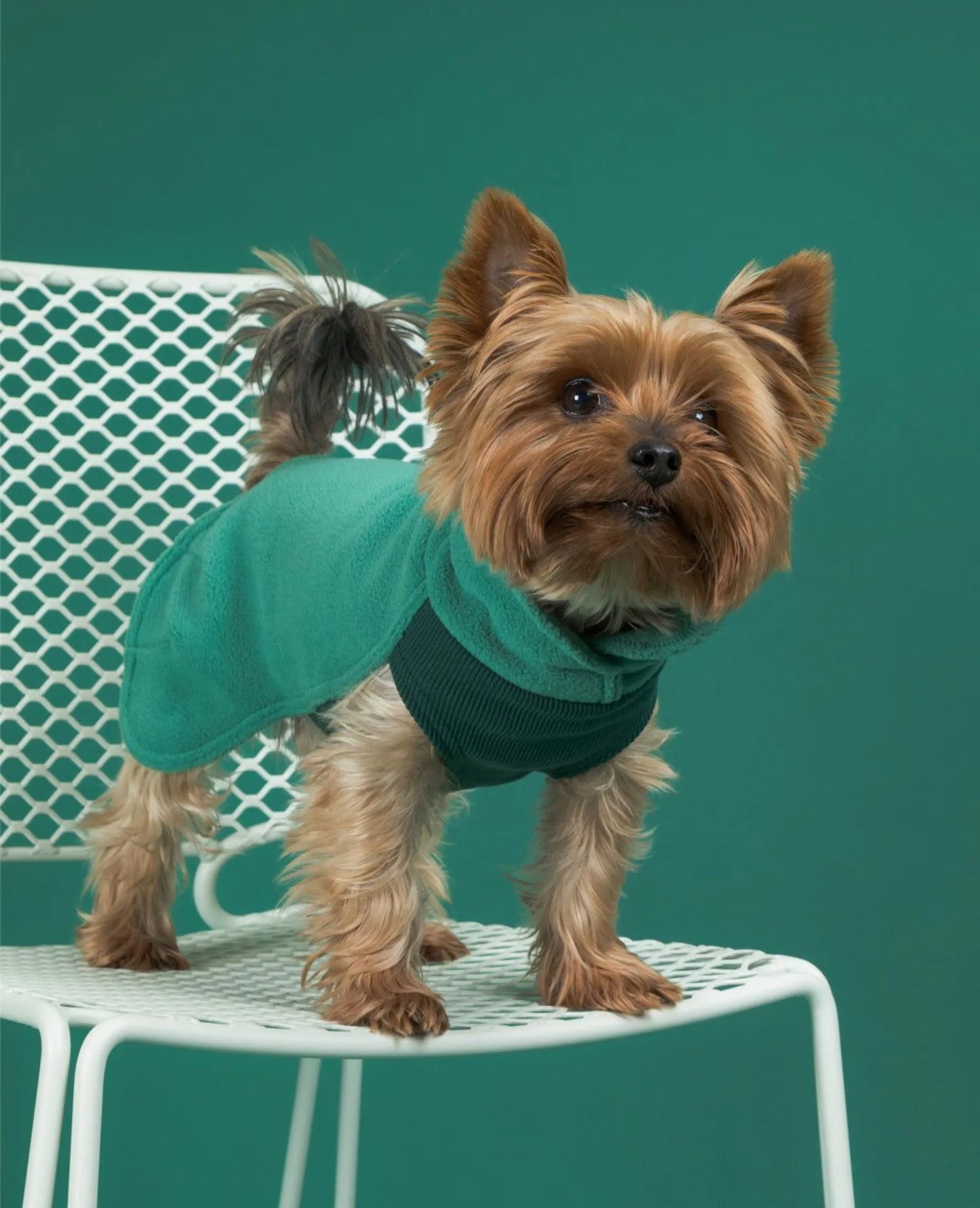 Кофта для собак Seawool Green Paikka