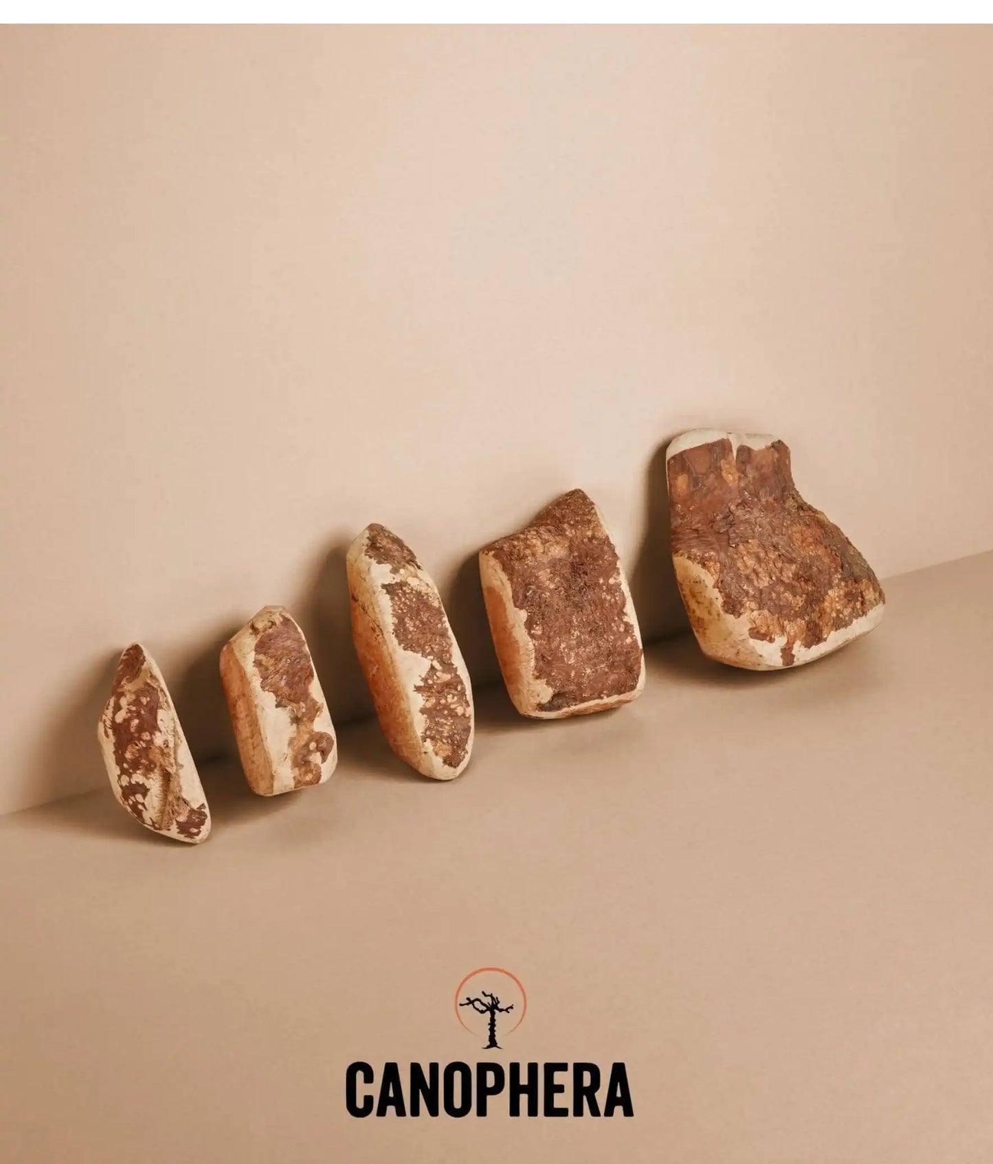 Корінь вересу Canophera для собак