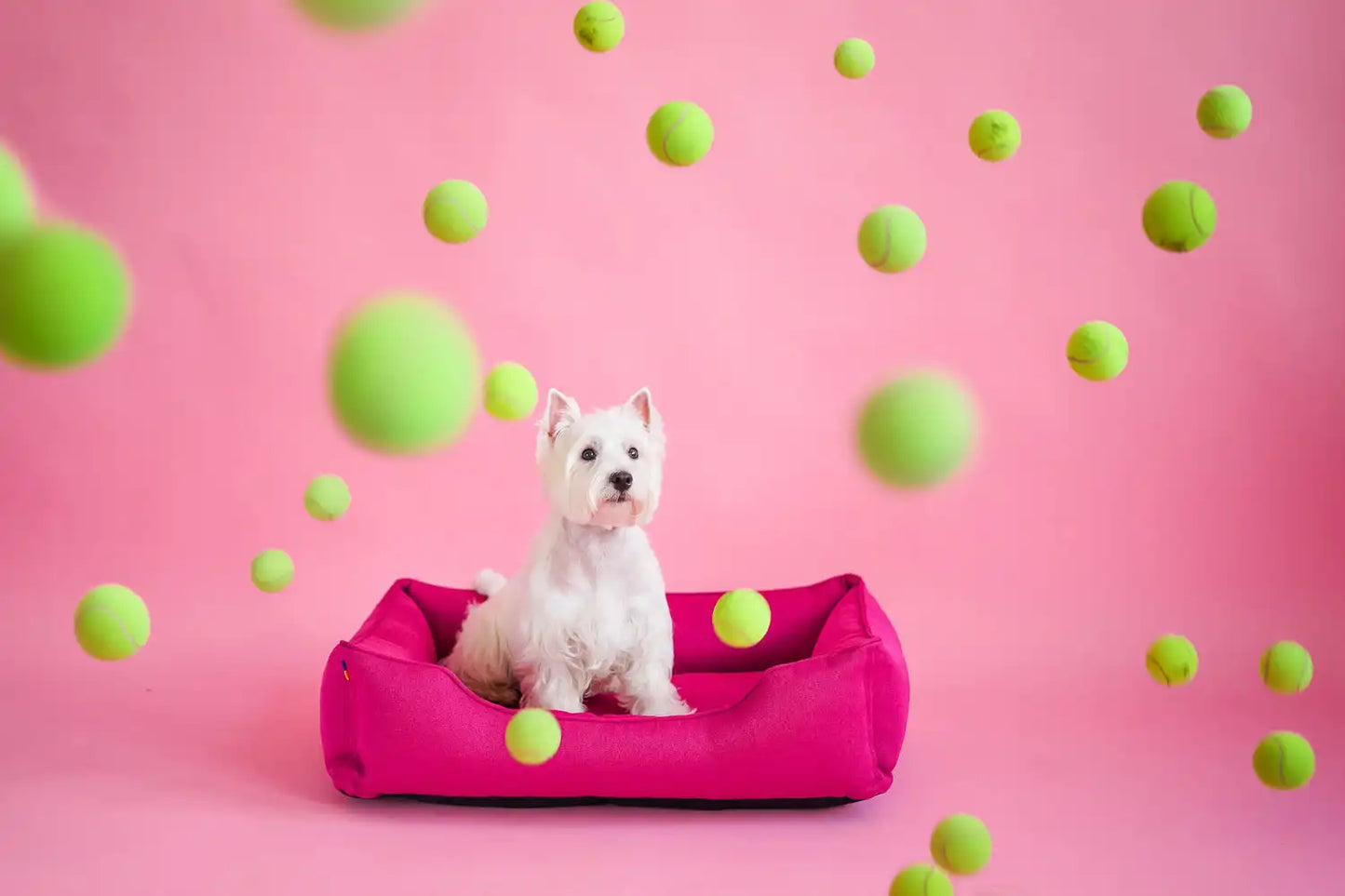 Лежак Dreamer Berry