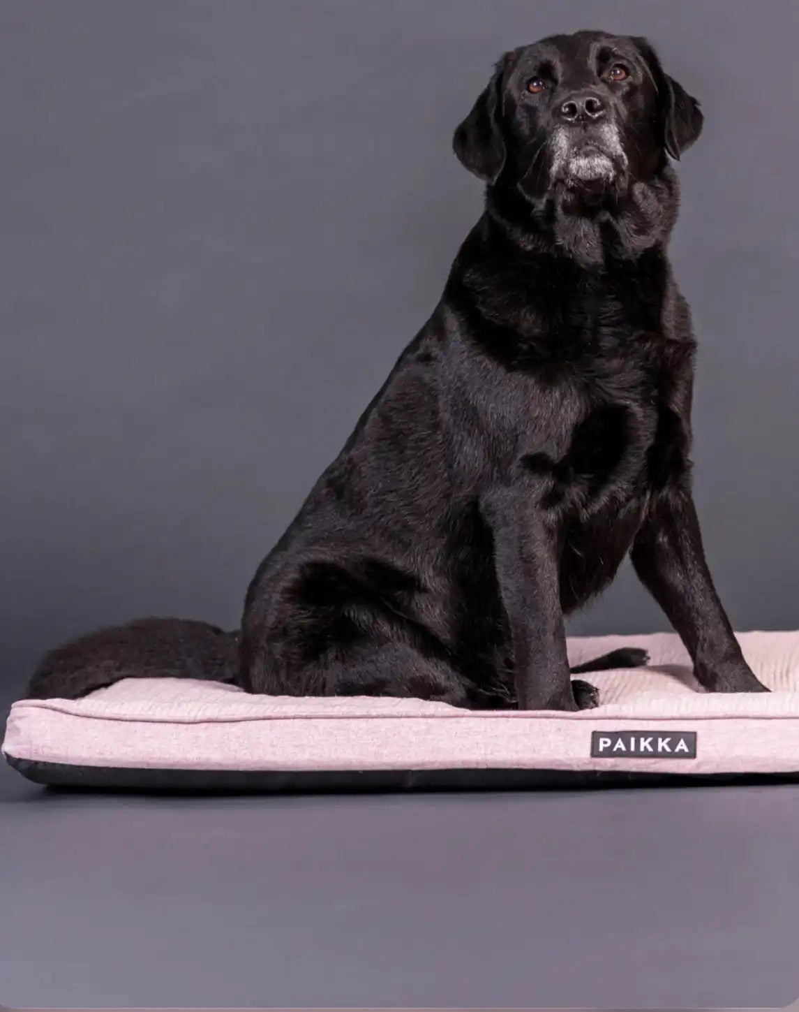 Матрас для собак Охолоджуючий - Ортопедичний Cooling Orthopedic Mattress Pink Paikka