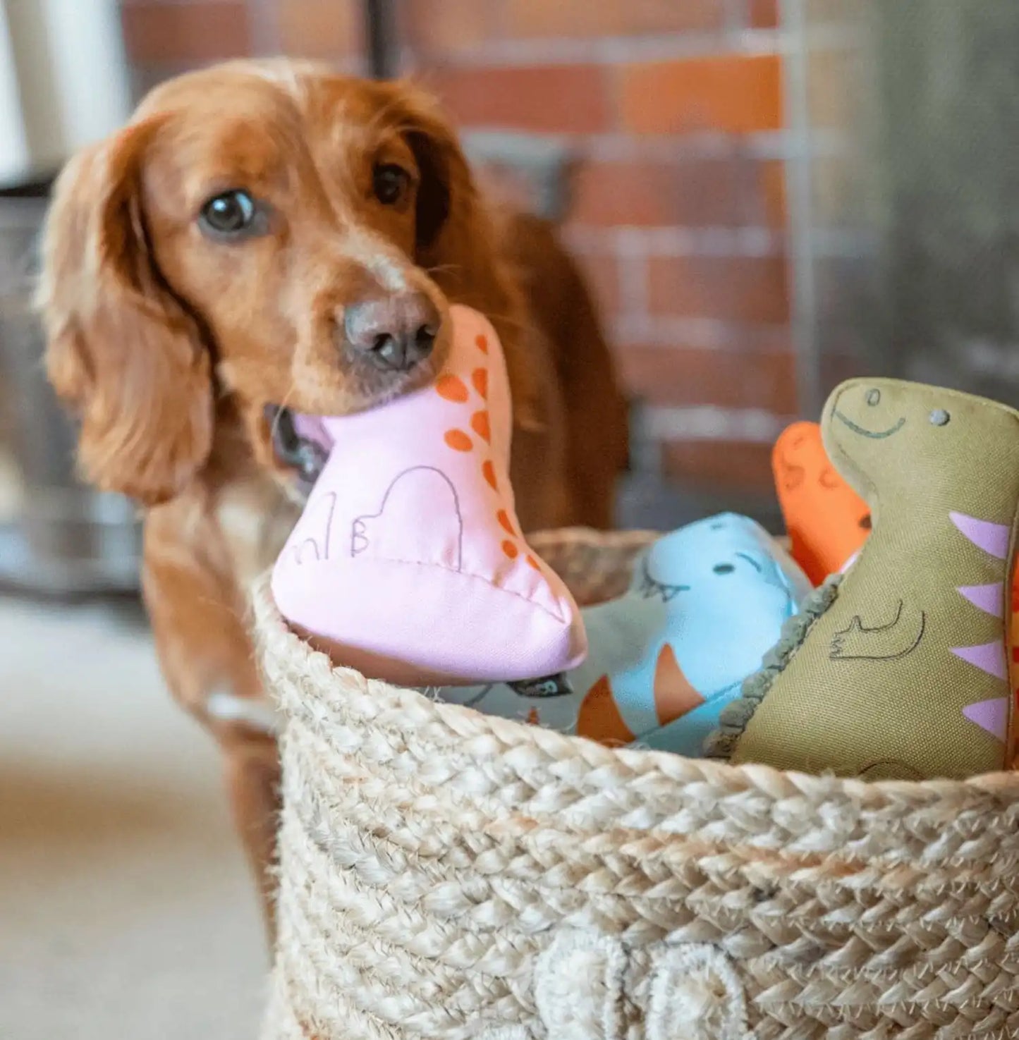 М'яка іграшка для собак Beco Pets Трицератопс Помаранчевий