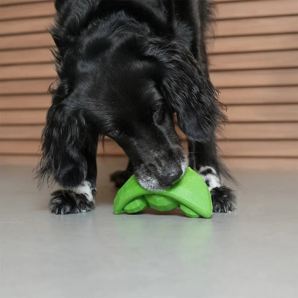 Надміцна іграшка з отвором для ласощів ZEE.DOG - Green Bean