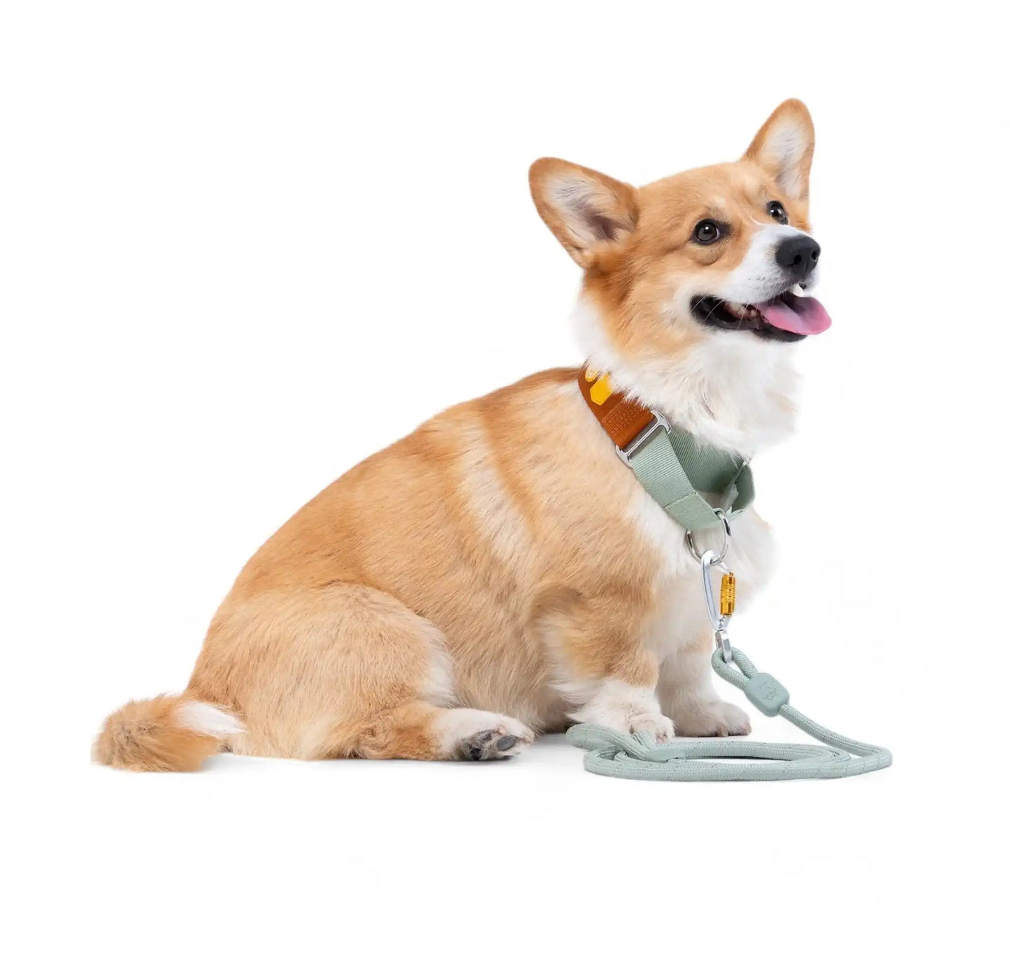 Нашийник для собак Martingale Color Block Terracotta Mix Woolly Wolf